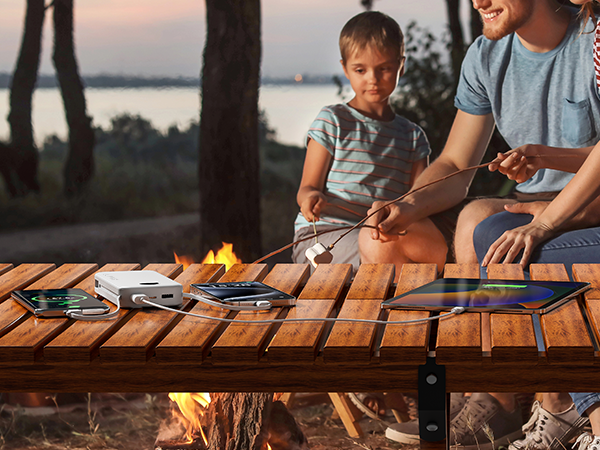 portable charger purple