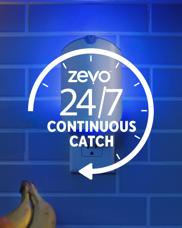 Zevo flying insect trap