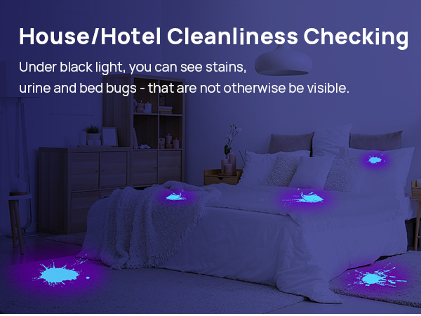 uv flashlight for bed bugs