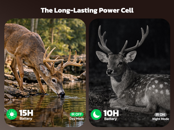 night vision binoculars