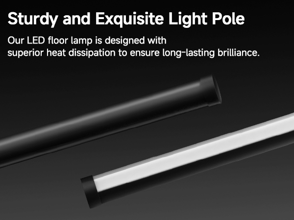Sturdy and Exquisite Light Pole