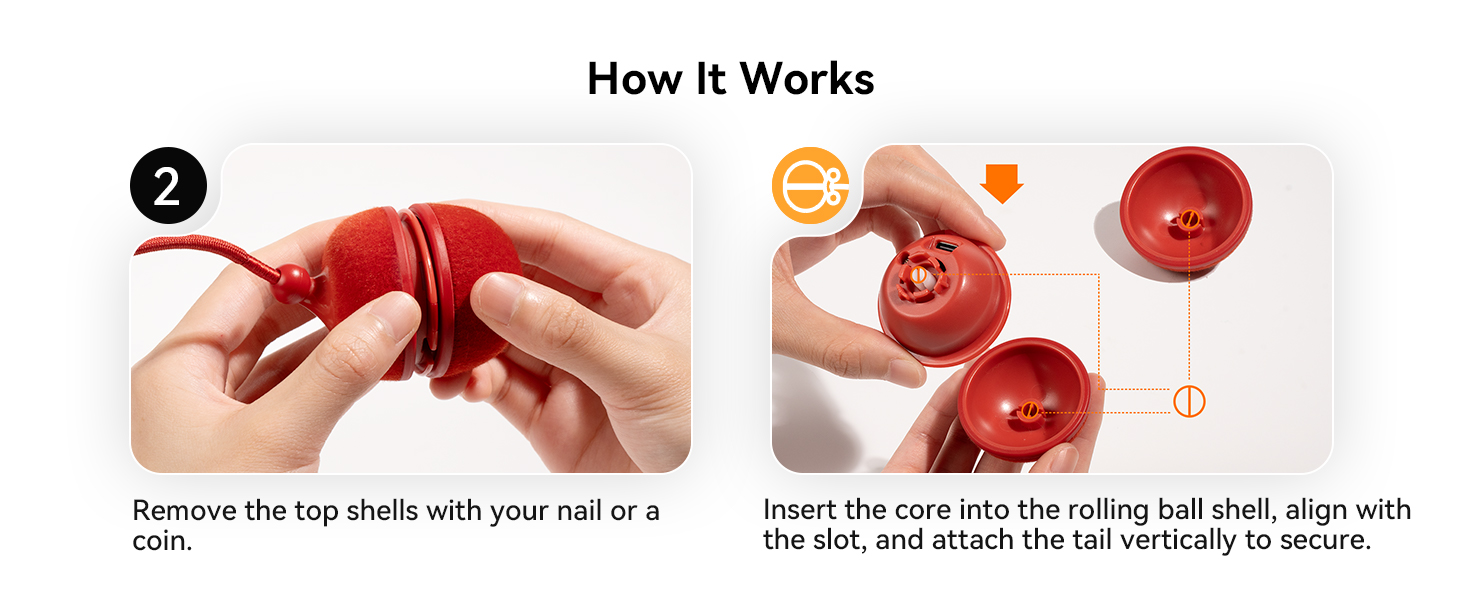 cat toys