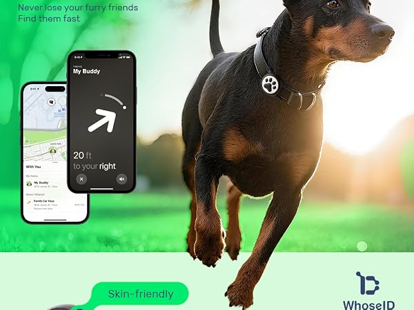 dog airtag holder
