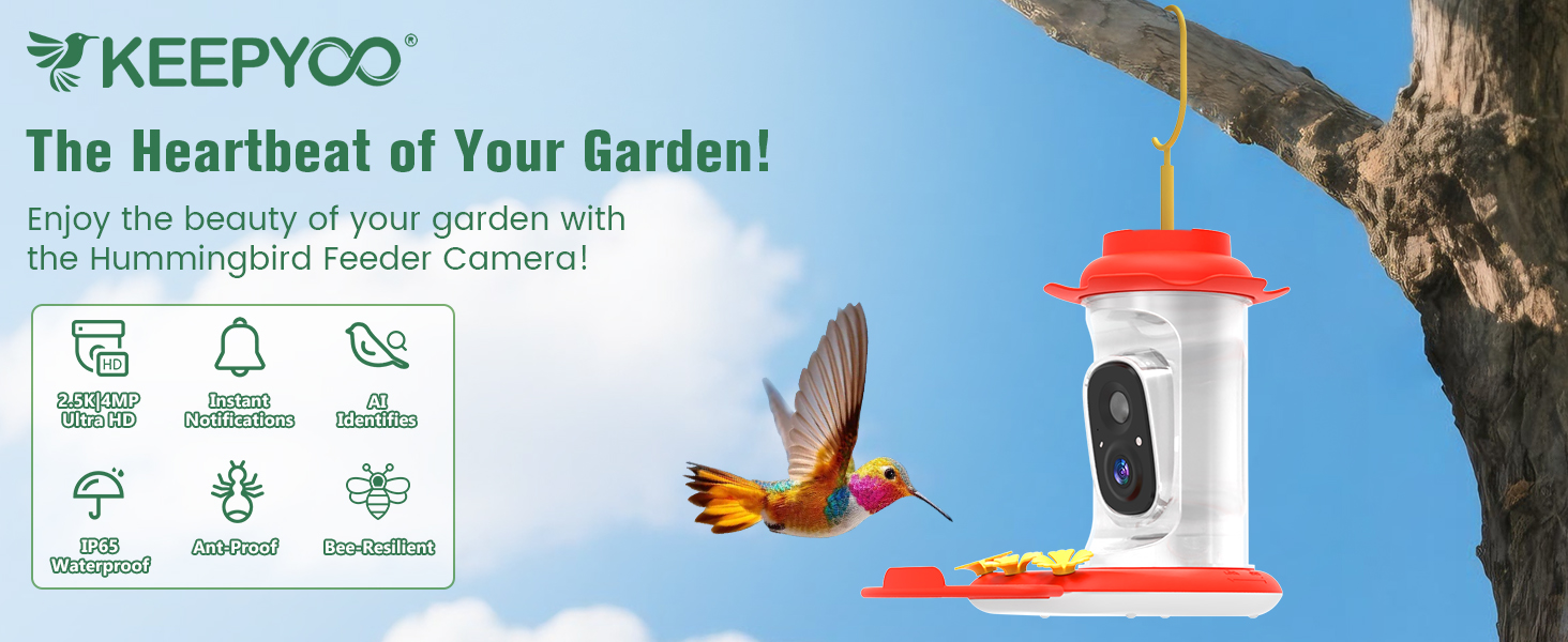 hummingbird feeder with Camera