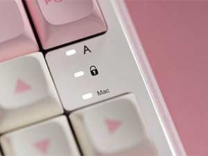 Stay Informed with Clear Indicator Lights