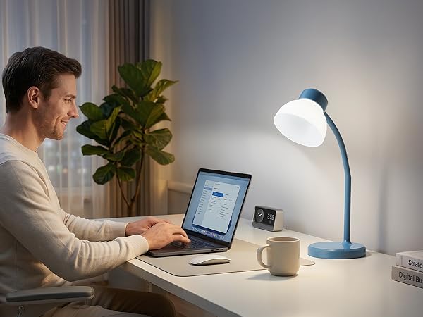Desk Lamp