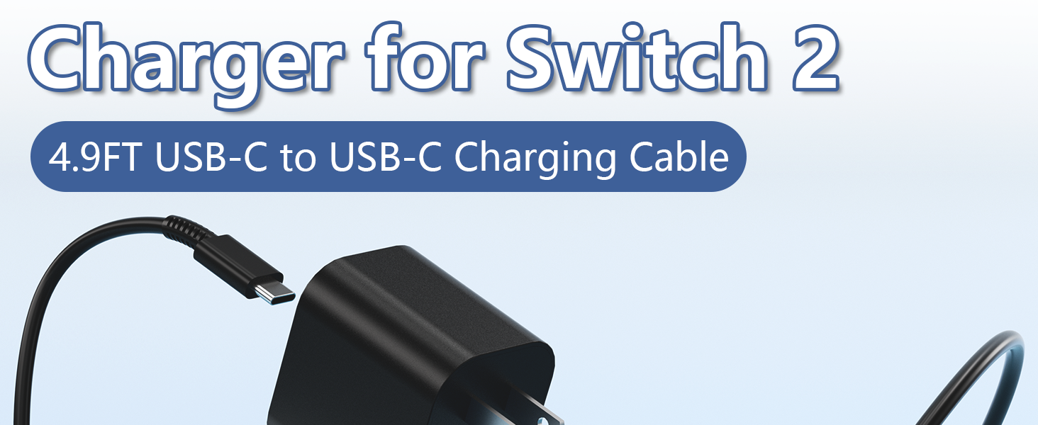switch 2 charger