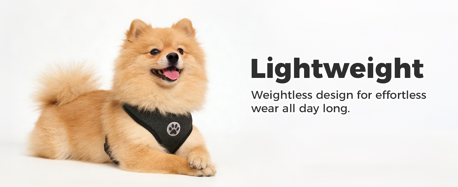 dog harness small sized dogs