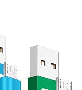Aioneus
