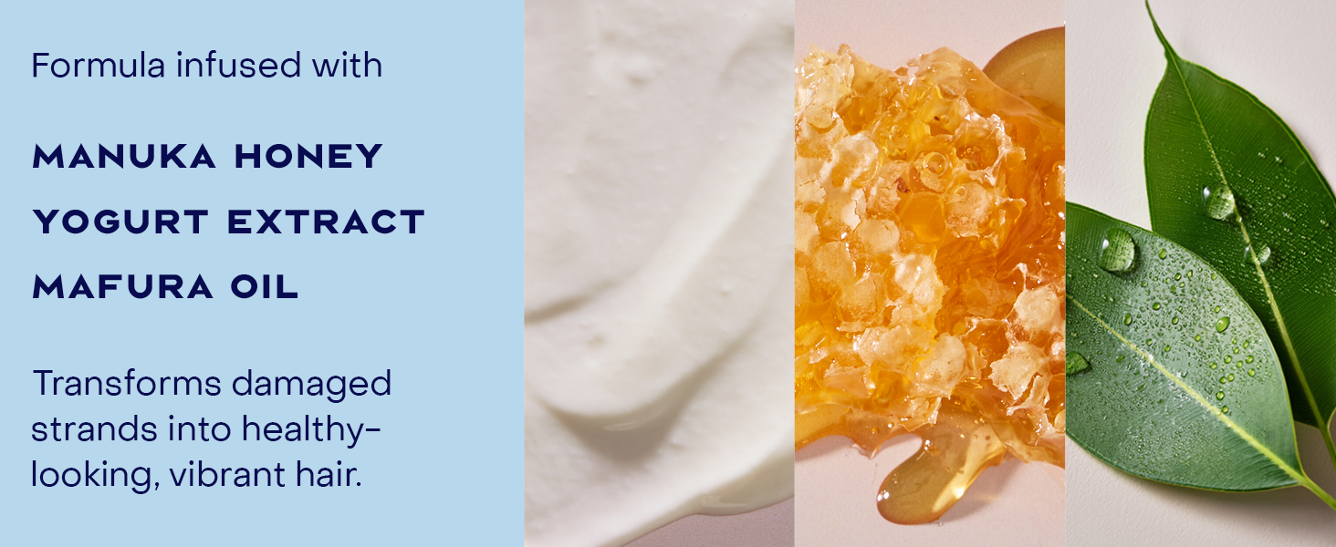 Image of some formula ingredients like manuka honey, yogurt extract, and mafura oil.
