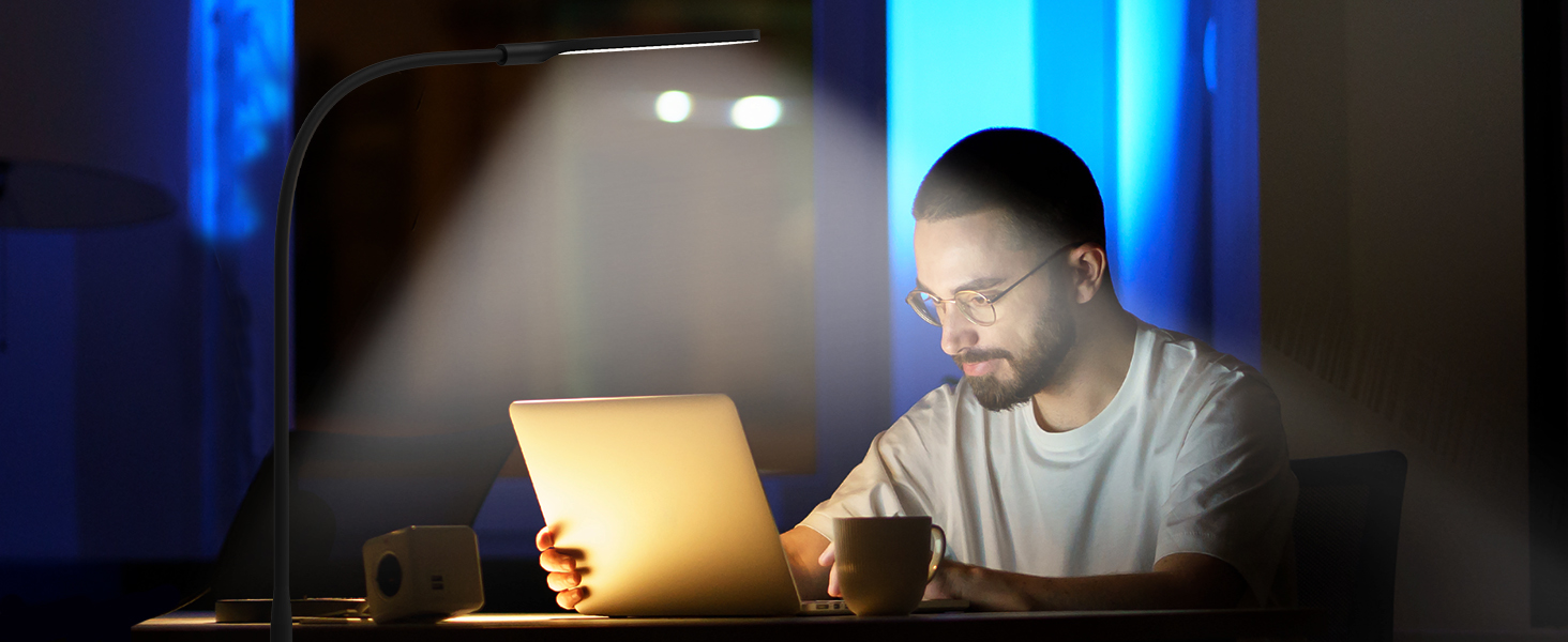 LED Desk Lamp with Clamp