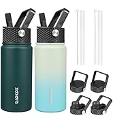 BJPKPK 2 Pack Insulated Water Bottles with Straw Lids, 18oz Stainless Steel Metal Water Bottle wi...