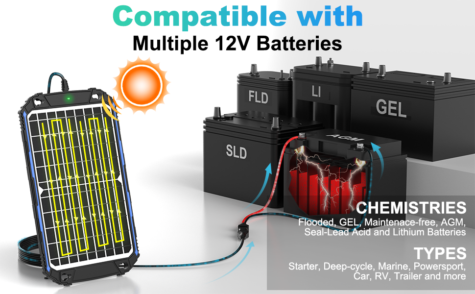 compatible with multiple 12v batteries
