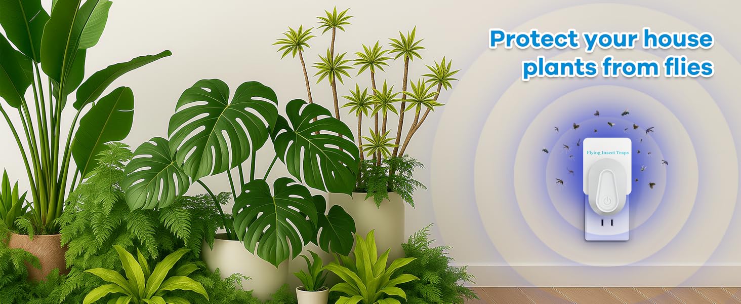 protect your house plants from flies