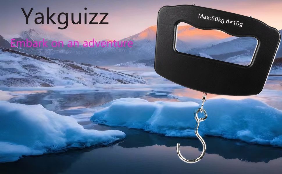 luggage scale -3