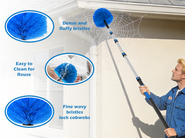 Cobweb Duser