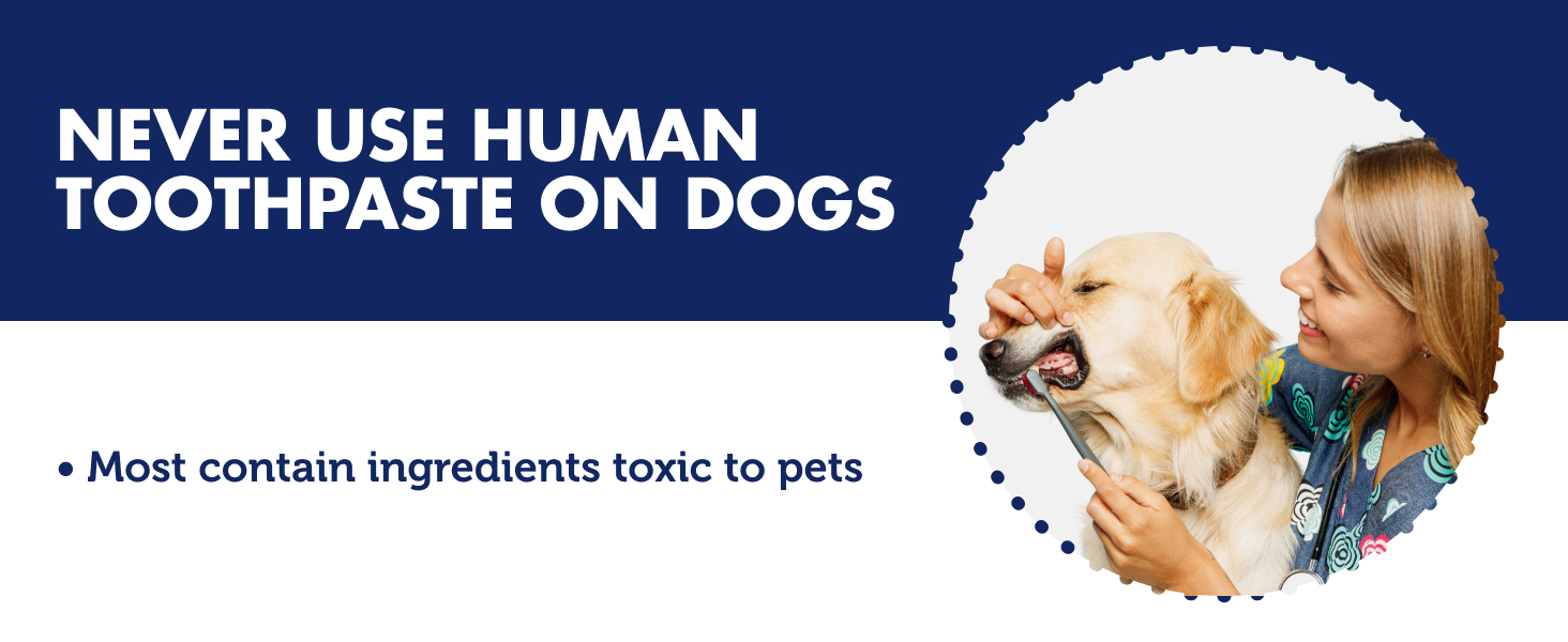 Never use human toothpaste on dog