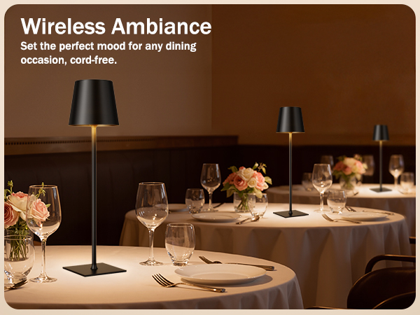 cordless table lamps rechargeable
