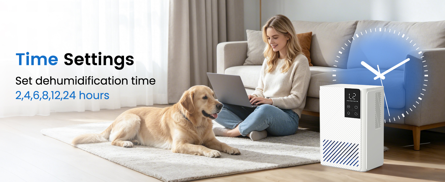dehumidifiers for home