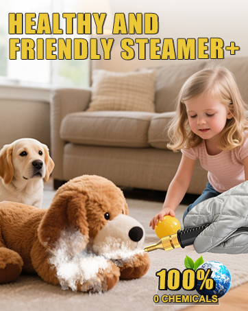 steam cleaner for home
