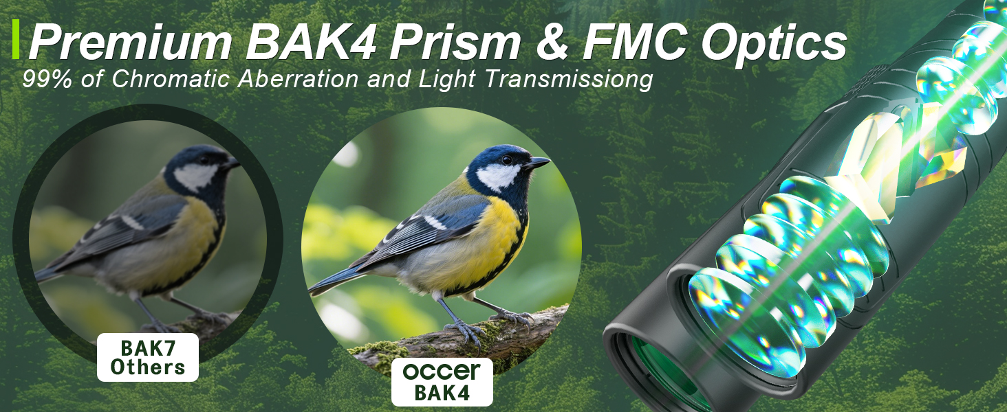 bird watching binoculars