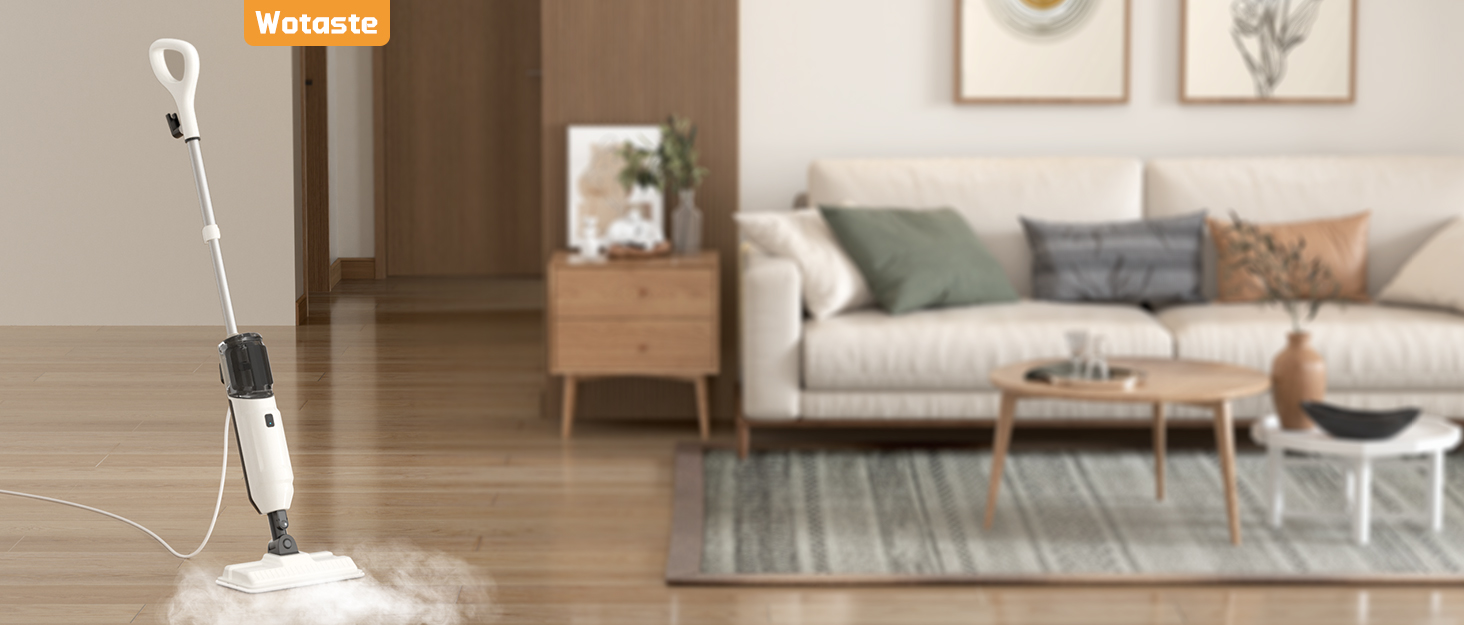 steamer for cleaning