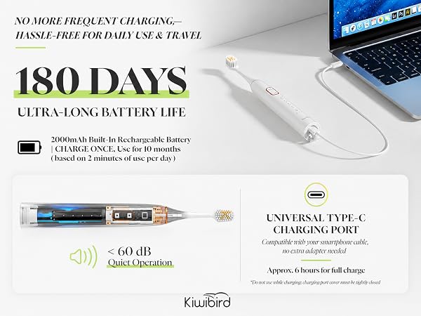 KIWIBIRD K5 Sonic Electric Toothbrush