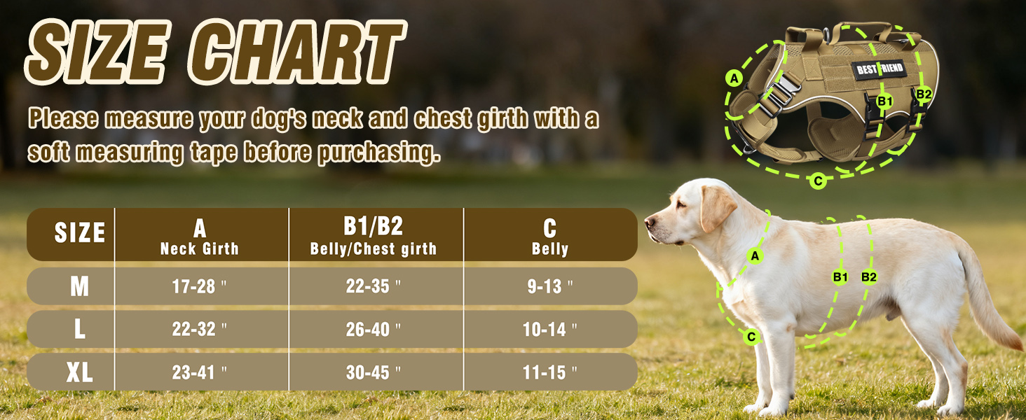 size chart brown
