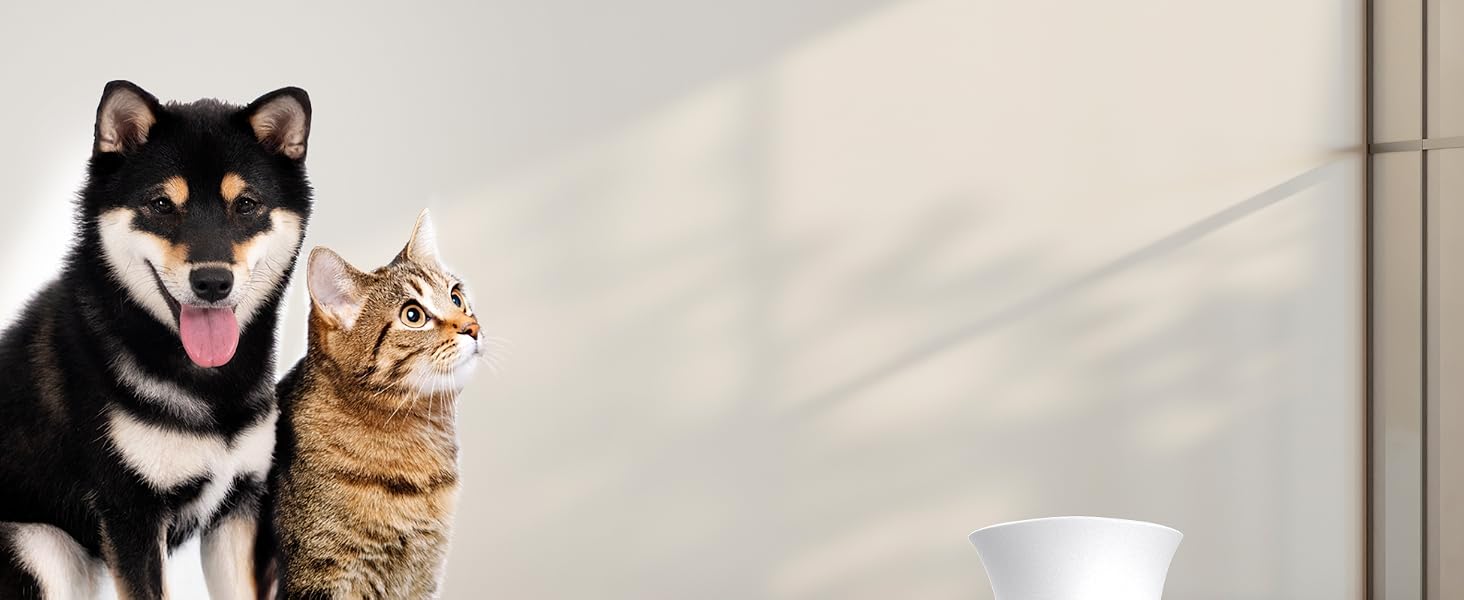 MR.SIGA Lint Rollers for Pet Hair Extra Sticky