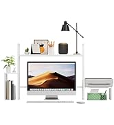 WelFurGeer LED Desk Shelf Organizer with RGB Light Strip, 2-Tier Desktop Shelf for Computer Monit...