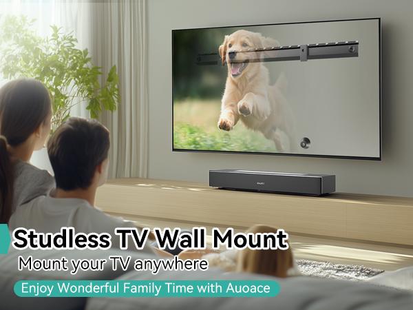studless tv mount 55inch