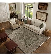 Machine Washable Rugs for Living Room: 5x7 Area Rugs Boho Vintage Rugs Stain Resistant Non Slip L...