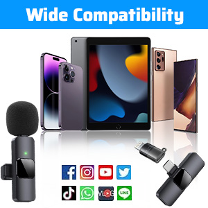 Mini Microphone dual wireless microphone Phone microphone