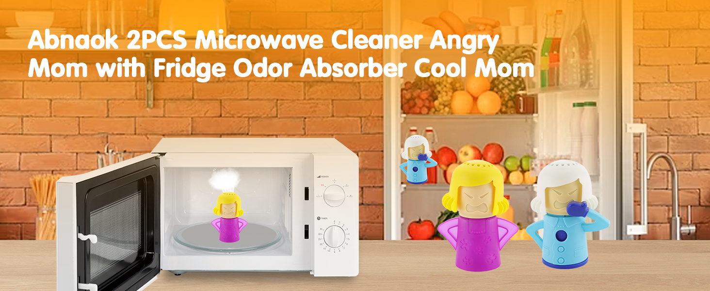 Microwave Cleaner
