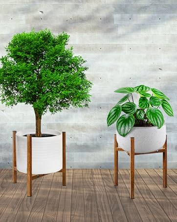 https://m.media-amazon.com/images/S/aplus-media-library-service-media/b6ff23df-27b1-47a1-ac24-4e6ae2fdda5e.__CR522,0,479,600_PT0_SX362_V1___.jpg