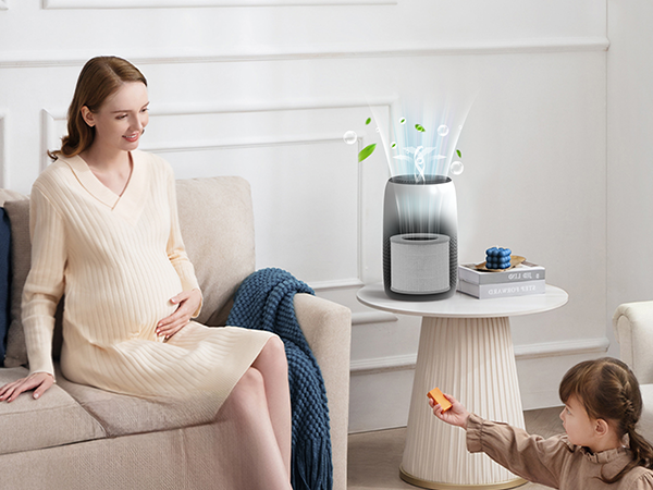 levoit core mini replacement filter