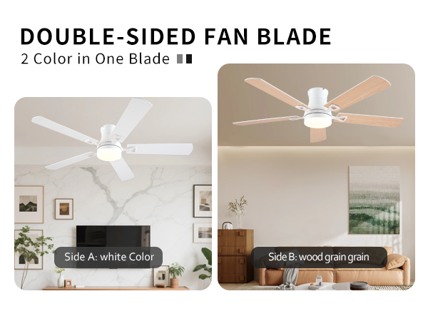 ceiling fan