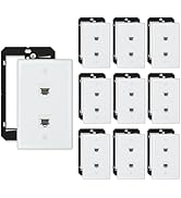 iwillink 10Gbps Ethernet Wall Plate Cat6A, 2-Port Ethernet Wall Plate and Jack Outlet, Keystone R...