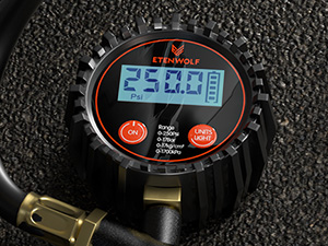 T500 tire pressure gauge