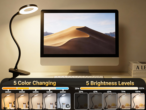 Rechargeable Desk Lamp with Clamp