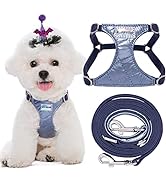 No Pull xs Dog Harness with Multifunction Dog Leash,Soft Adjustable No Choke Escape Proof Pet Har...
