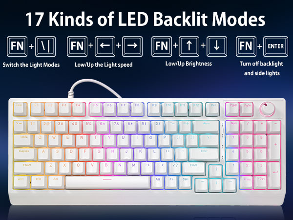 Wired Keyboard