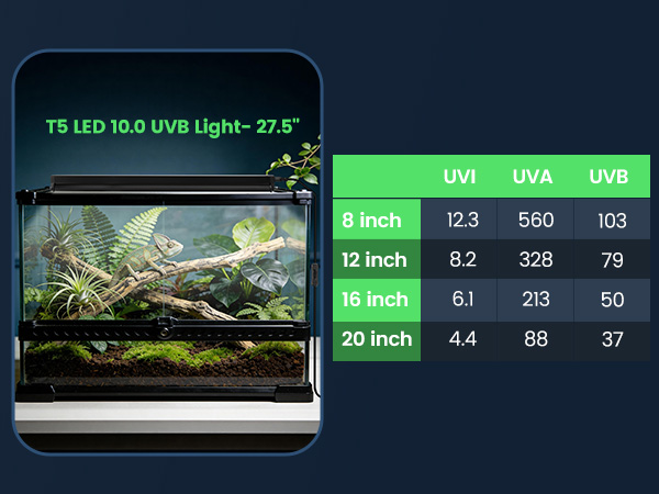 UVB LED Reptile Light
