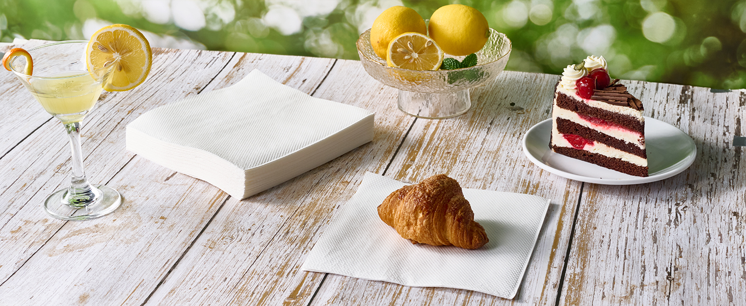 everyday white napkins