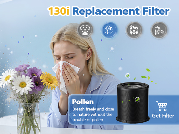 130i Replacement Filter
