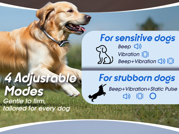 bark collar for large dogs