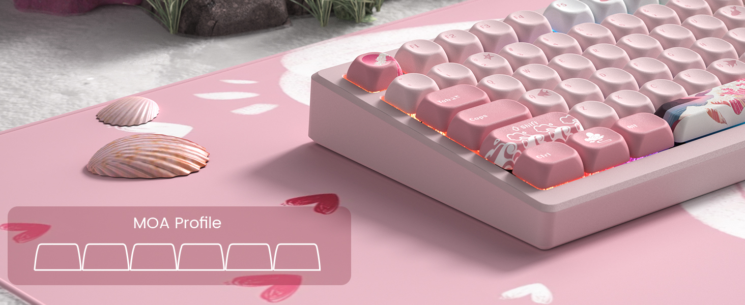 PBT Keycaps for Mechanical Keyboard,75 Percent Dye-Sublimation Custom Keycaps Set