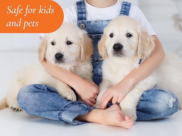 ESSENTIAL OIL PLUG IN WATERLESS DIFFUSER AROMA SCENT DIFUSOR LAVENDER HOTEL DESIGNER SCENTSATION