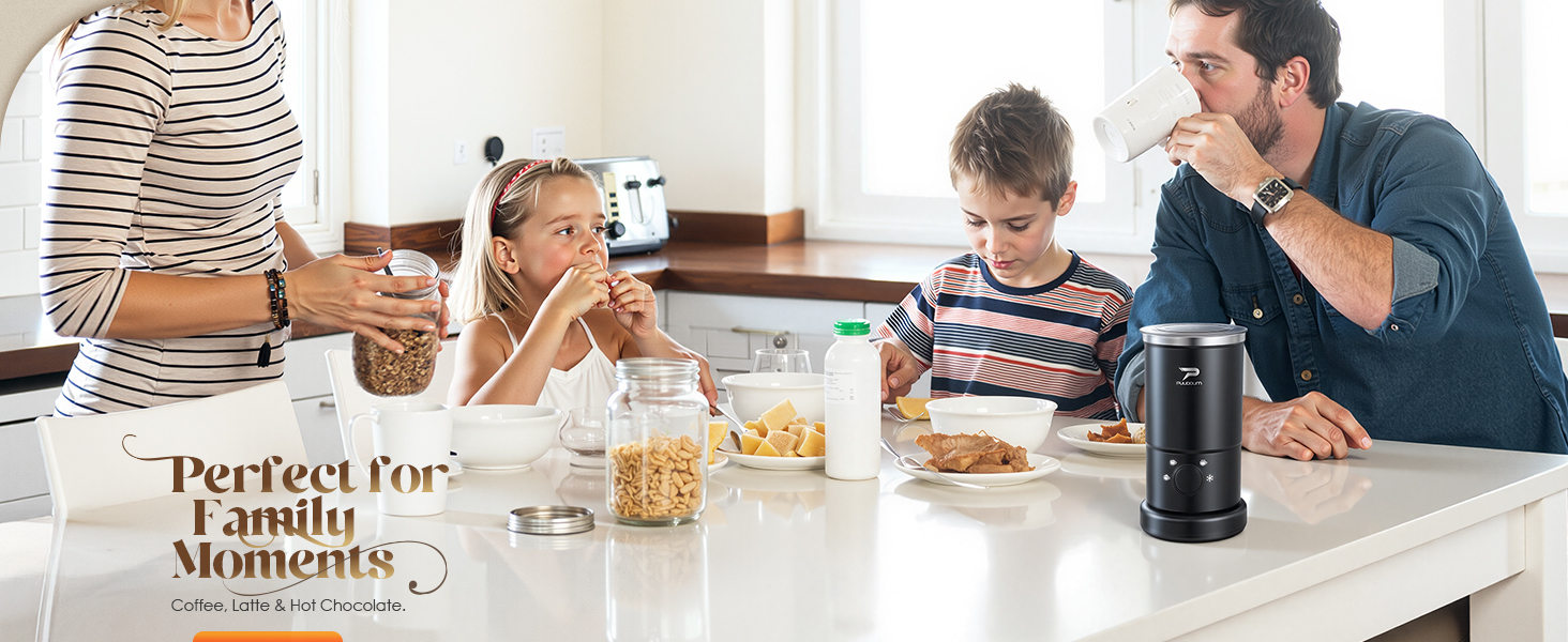 electric milk frothers