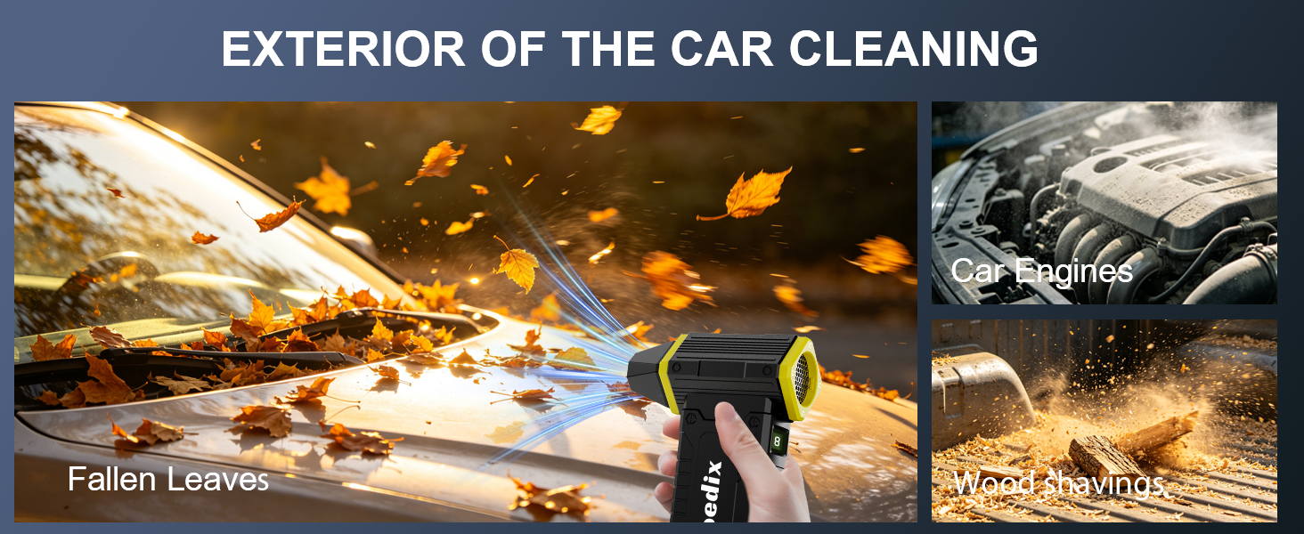 Clean up wood chips, fallen leaves, and dust from car engines